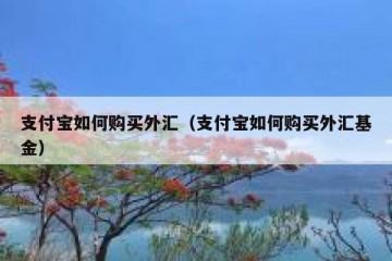 支付宝如何购买外汇（支付宝如何购买外汇基金）