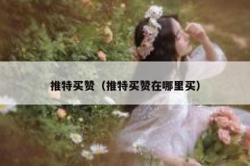 推特买赞（推特买赞在哪里买）