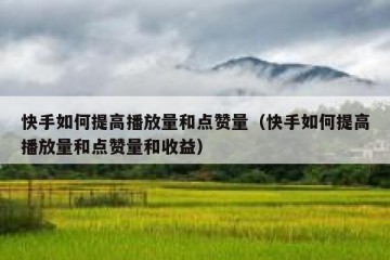 快手如何提高播放量和点赞量（快手如何提高播放量和点赞量和收益）