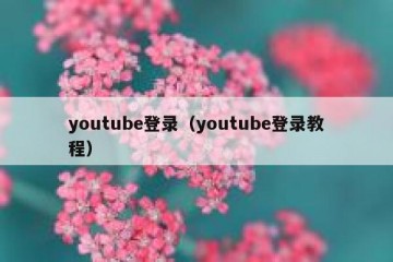 youtube登录（youtube登录教程）