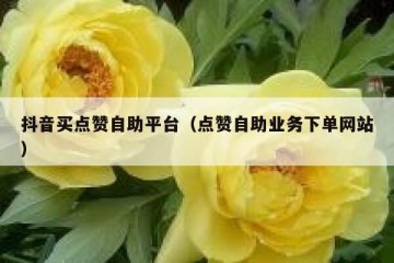 抖音买点赞自助平台（点赞自助业务下单网站）