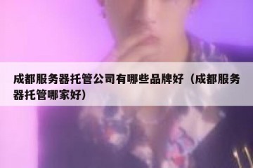成都服务器托管公司有哪些品牌好（成都服务器托管哪家好）