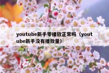 youtube新手零播放正常吗（youtube新手没有播放量）
