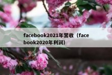 facebook2021年营收（facebook2020年利润）
