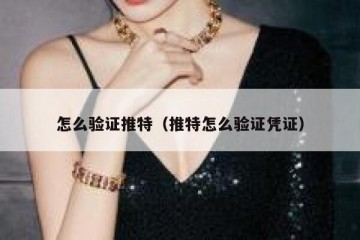 怎么验证推特（推特怎么验证凭证）