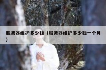 服务器维护多少钱（服务器维护多少钱一个月）