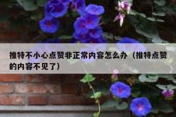 推特不小心点赞非正常内容怎么办（推特点赞的内容不见了）