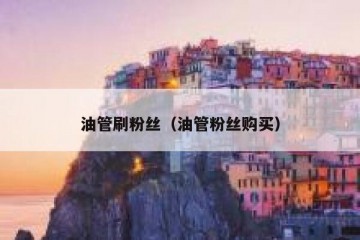 油管刷粉丝（油管粉丝购买）