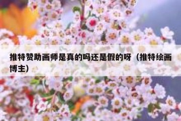 推特赞助画师是真的吗还是假的呀（推特绘画博主）