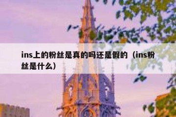 ins上的粉丝是真的吗还是假的（ins粉丝是什么）