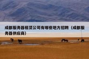 成都服务器租赁公司有哪些地方招聘（成都服务器供应商）