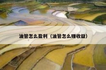 油管怎么盈利（油管怎么赚收益）