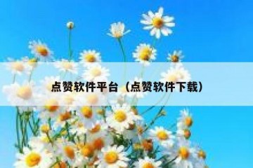 点赞软件平台（点赞软件下载）