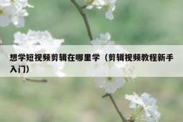 想学短视频剪辑在哪里学（剪辑视频教程新手入门）