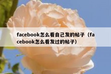 facebook怎么看自己发的帖子（facebook怎么看发过的帖子）
