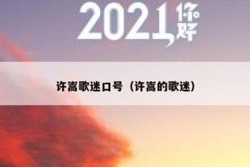 许嵩歌迷口号（许嵩的歌迷）