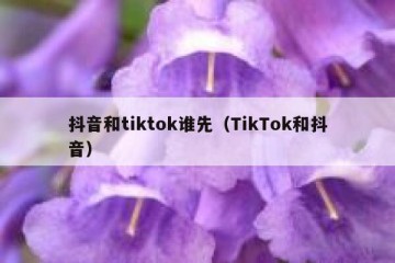 抖音和tiktok谁先（TikTok和抖音）
