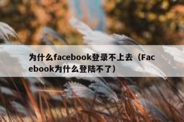 为什么facebook登录不上去（Facebook为什么登陆不了）