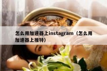 怎么用加速器上instagram（怎么用加速器上推特）