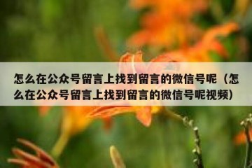 怎么在公众号留言上找到留言的微信号呢（怎么在公众号留言上找到留言的微信号呢视频）