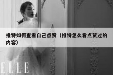推特如何查看自己点赞（推特怎么看点赞过的内容）