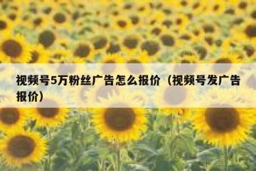 视频号5万粉丝广告怎么报价（视频号发广告报价）