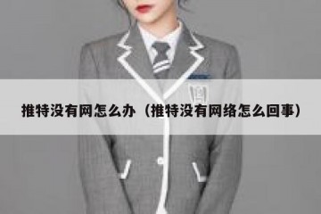 推特没有网怎么办（推特没有网络怎么回事）