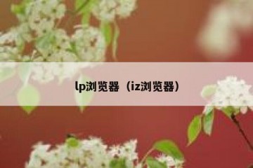 lp浏览器（iz浏览器）