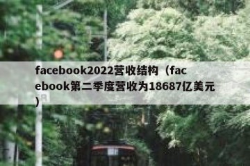 facebook2022营收结构（facebook第二季度营收为18687亿美元）