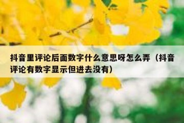 抖音里评论后面数字什么意思呀怎么弄（抖音评论有数字显示但进去没有）