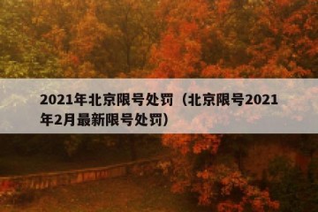 2021年北京限号处罚（北京限号2021年2月最新限号处罚）