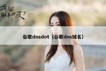 谷歌dnsdot（谷歌dns域名）