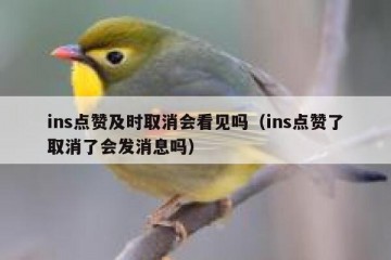 ins点赞及时取消会看见吗（ins点赞了取消了会发消息吗）