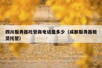 四川服务器托管商电话是多少（成都服务器租赁托管）