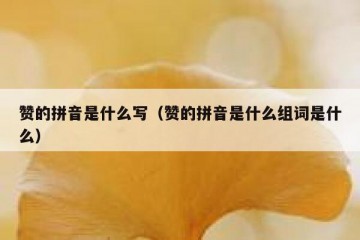 赞的拼音是什么写（赞的拼音是什么组词是什么）