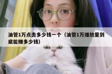 油管1万点击多少钱一个（油管1万播放量到底能赚多少钱）