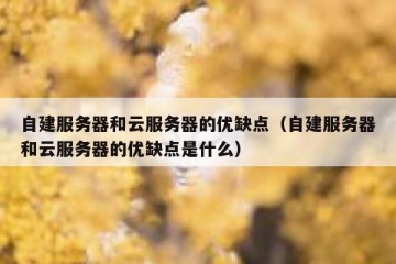 自建服务器和云服务器的优缺点（自建服务器和云服务器的优缺点是什么）
