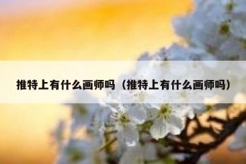 推特上有什么画师吗（推特上有什么画师吗）