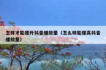 怎样才能提升抖音播放量（怎么样能提高抖音播放量）