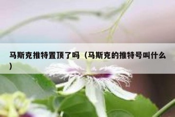 马斯克推特置顶了吗（马斯克的推特号叫什么）