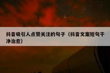 抖音吸引人点赞关注的句子（抖音文案短句干净治愈）