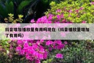 抖音增加播放量有用吗现在（抖音播放量增加了有用吗）