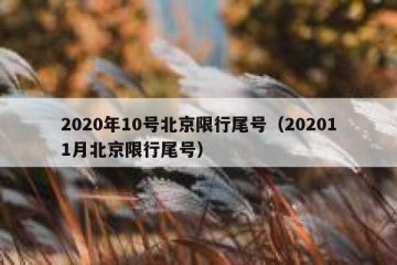 2020年10号北京限行尾号（202011月北京限行尾号）