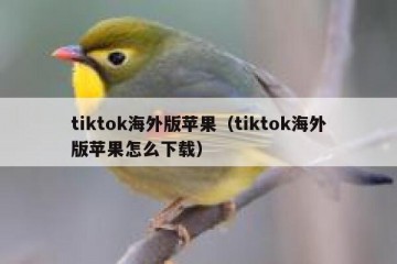 tiktok海外版苹果（tiktok海外版苹果怎么下载）