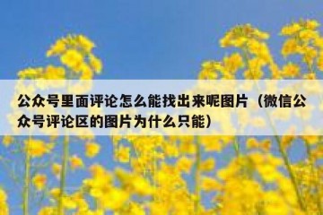 公众号里面评论怎么能找出来呢图片（微信公众号评论区的图片为什么只能）