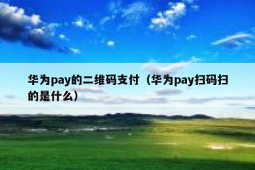 华为pay的二维码支付（华为pay扫码扫的是什么）