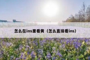 怎么在ins里看黄（怎么直接看ins）