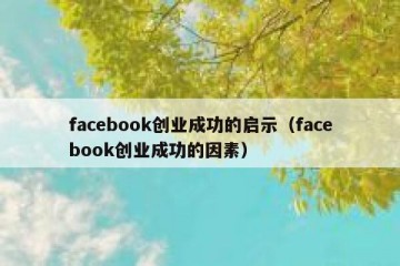 facebook创业成功的启示（facebook创业成功的因素）