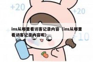 ins从哪里看访客记录内容（ins从哪里看访客记录内容呢）