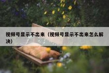 视频号显示不出来（视频号显示不出来怎么解决）